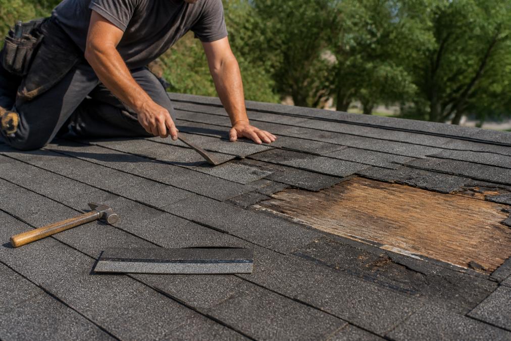 Patch vs Replace Aging Roof Shingles: A 2026 Guide