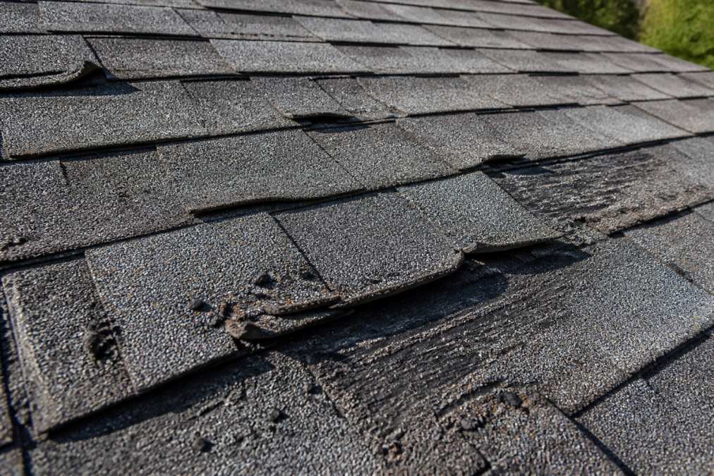 Close-up of asphalt roof shingles showing curled edges, missing granules, and dark weathered areas on a residential roof in afternoon sunlight