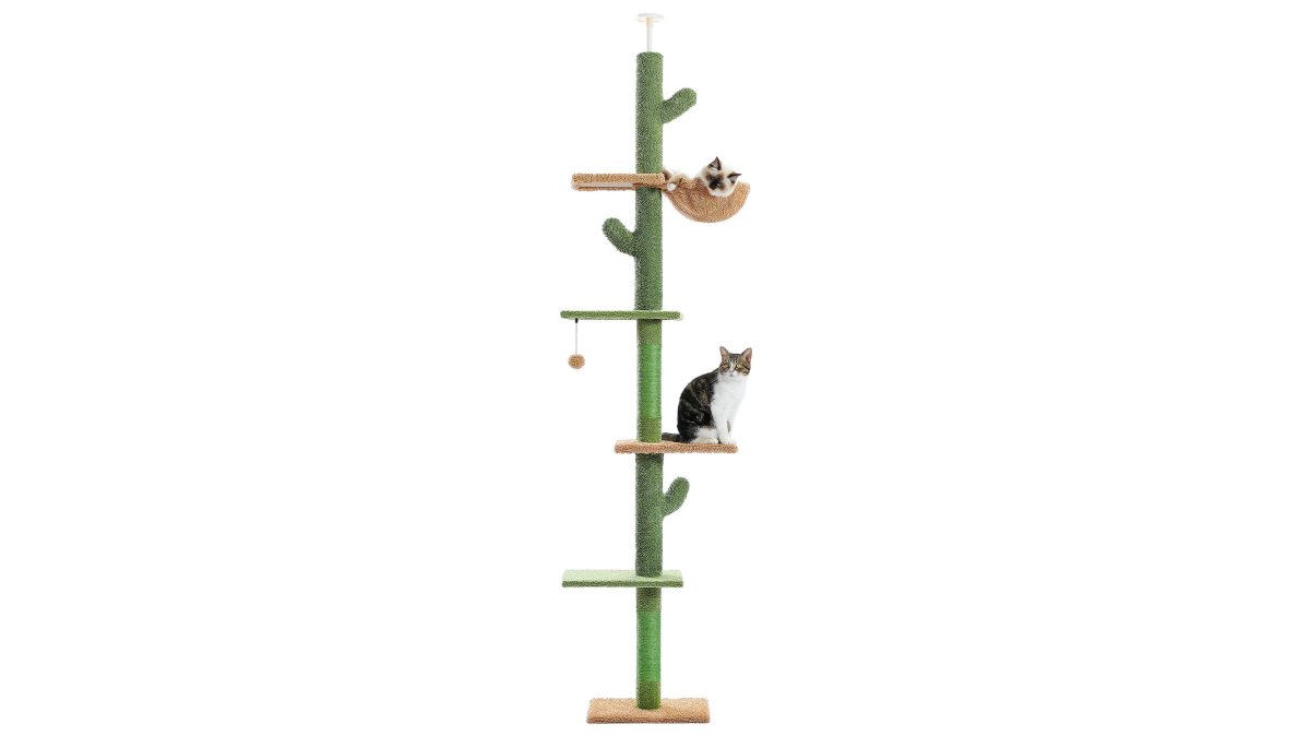 PAWZ Road Cat Tree 5-Tier Floor to Ceiling Climbing Tower