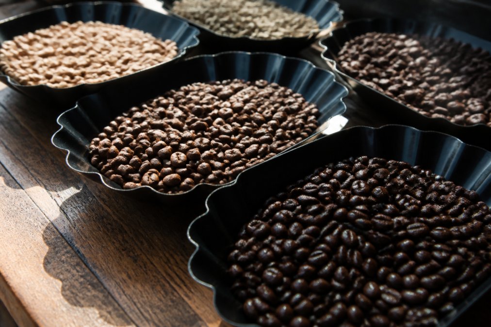 Close-up of artisanal coffee beans in different roast levels displayed in professional cupping bowls, showing rich color variation from light tan to nearly black, with morning light highlighting the bean texture and surface oils