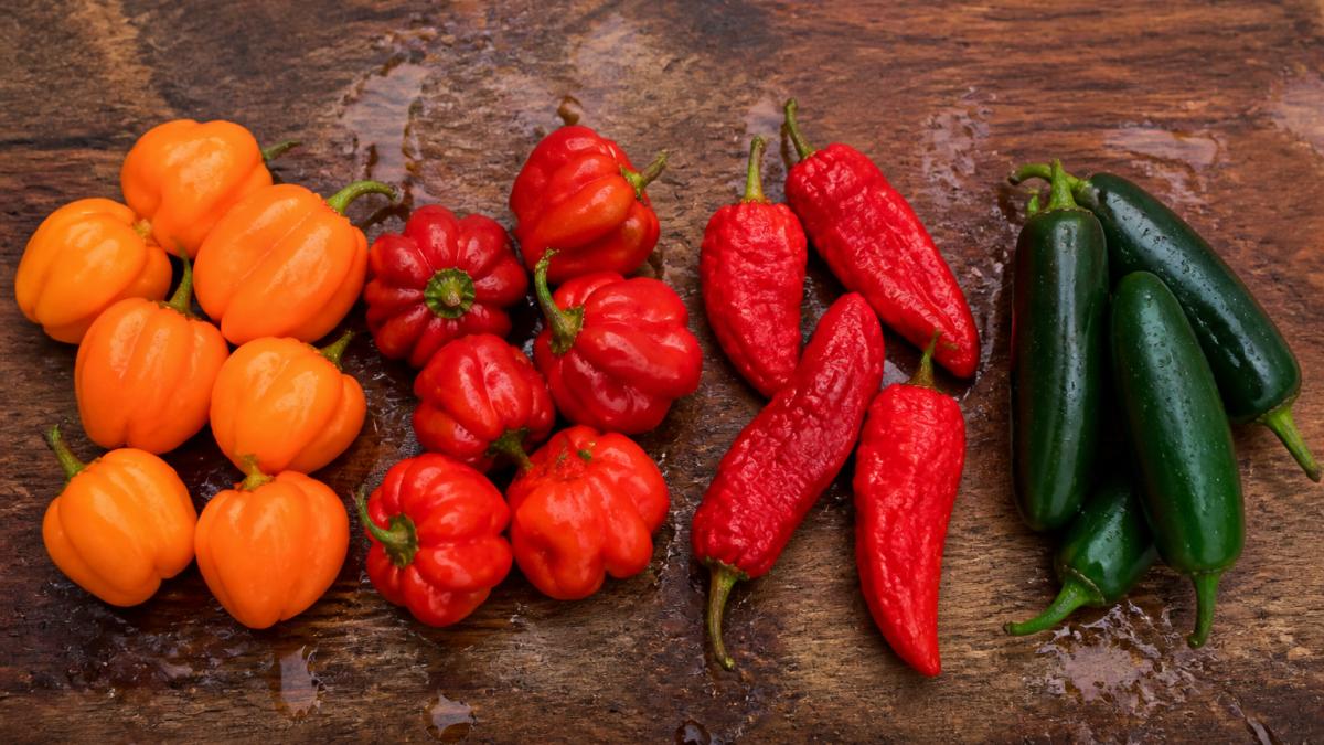 Overhead flat-lay of fresh habanero, scotch bonnet, ghost pepper, and jalapeño peppers arranged on a wooden board with water droplets, natural daylight