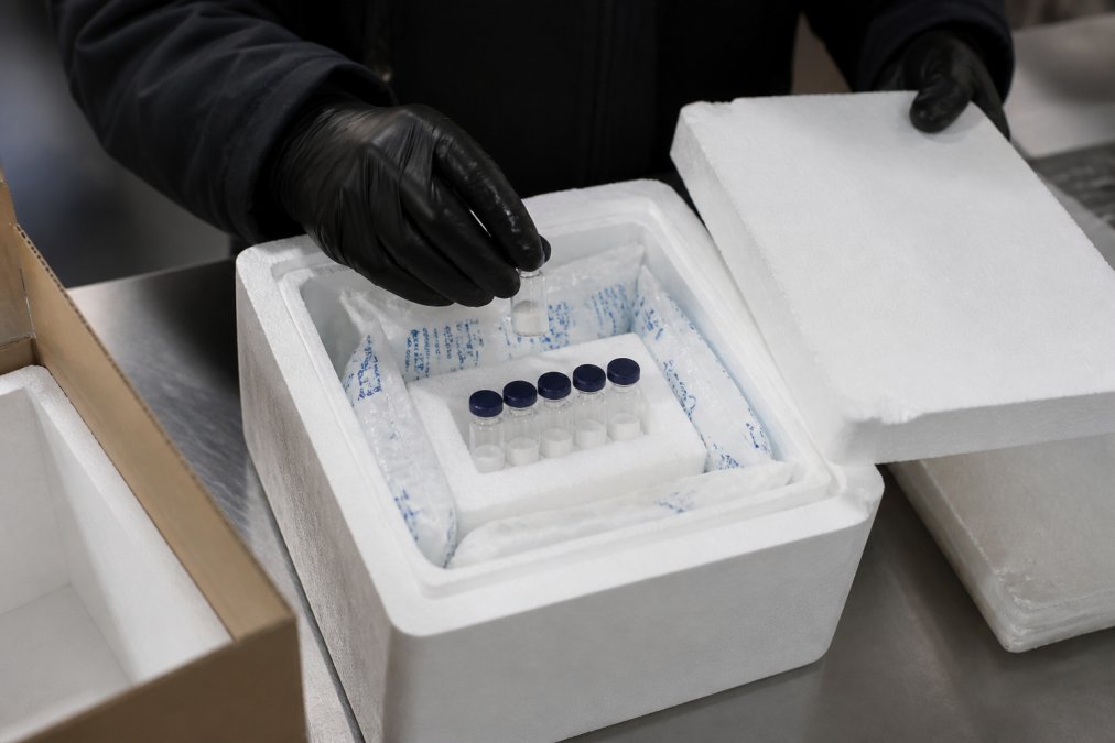 Peptide Stability During Shipping: A 2026 Guide
