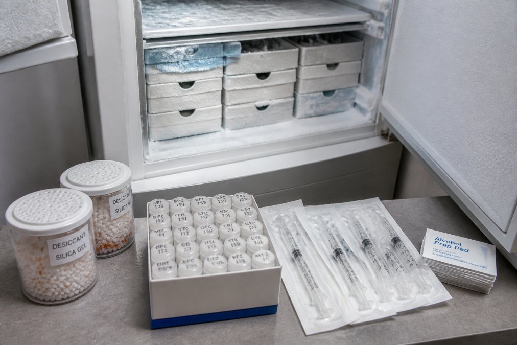 A researcher's home lab workstation showing organized peptide vials stored in a -80°C freezer with desiccant containers, sterile syringes, and alcohol swabs neatly arranged on a nearby bench, with clear labeling visible on vial caps