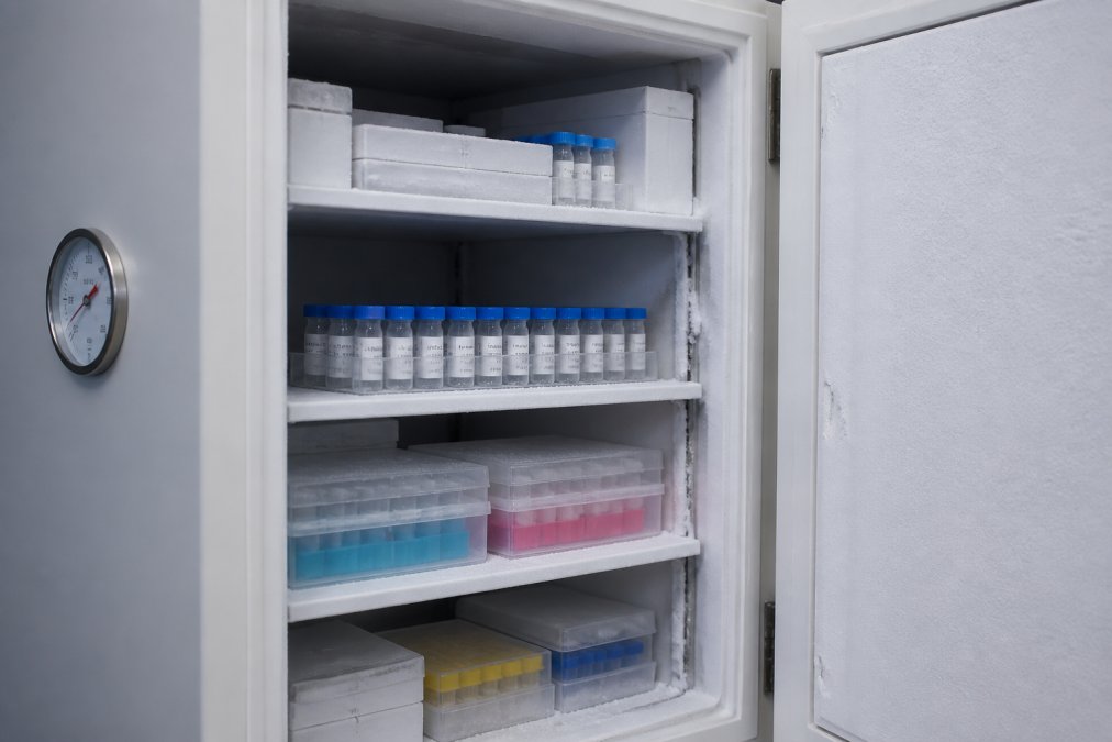 Close-up van een geopende laboratoriumvriezer met peptide-vials op georganiseerde planken, met temperatuurmeter en opslagcontainers zichtbaar