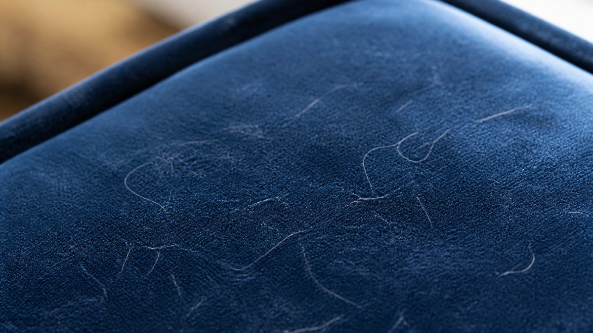 Diagram visualizing performance velvet vs traditional velvet pros and cons regarding pet hair resistance.
