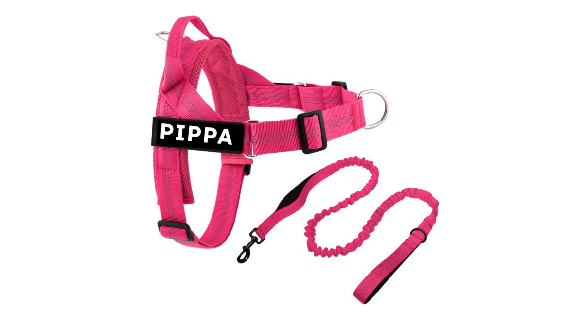 Personalised Dog Harness & Lead Set