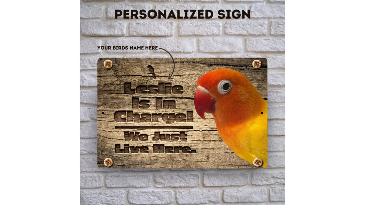 A collage of three different personalized aluminum pet signs mounted on a wooden fence in a sunny backyard, showing a colorful parrot sign, a rustic dog silhouette sign, and a love bird sign with names engraved beneath each