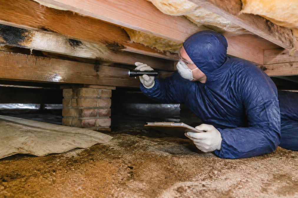 Licensed pest control technician in protective uniform conducting detailed inspection of building's crawl space with flashlight and clipboard, examining structural damage and pest activity