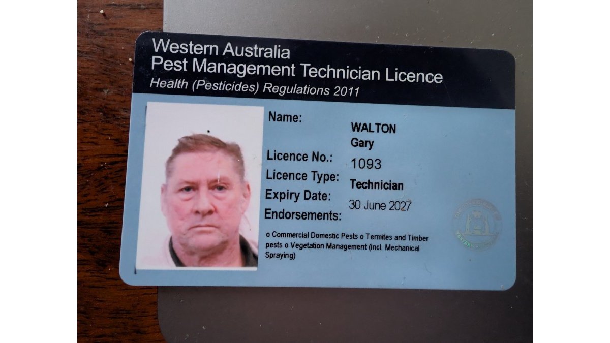 Emergency Pest Control 24 Hours: What to Do Now