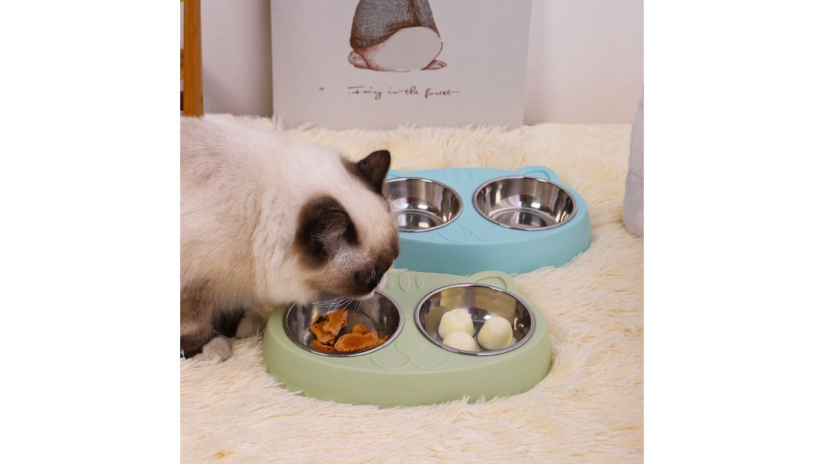 Pet Feeding And Water Bowl