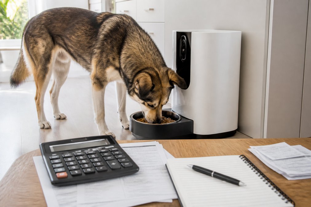 Close-up of a smart automatic pet feeder with camera on a kitchen floor, with a dog eating from it in a clean, modern home setting, soft natural light from nearby window