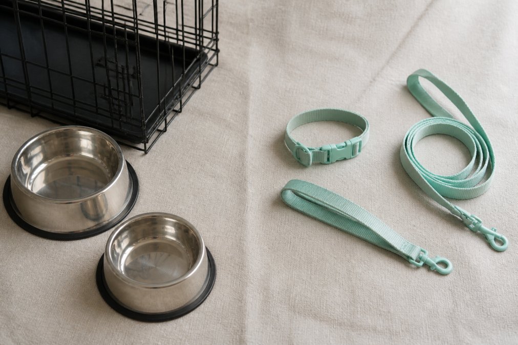 A side-by-side flat lay of two distinct dog gear setups on a neutral linen background: the left side shows classic utilitarian metal bowls and a wire crate, while the right side displays modern pastel-colored nylon leashes and a minimalist collar, photographed in soft natural daylight