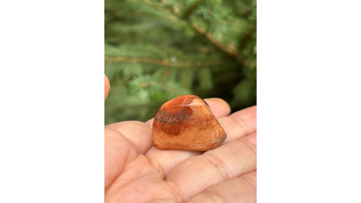 Petrified Stone, large tumbled stones