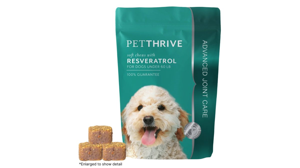 Petthrive Resveratrol Joint Soft Chews for Dogs