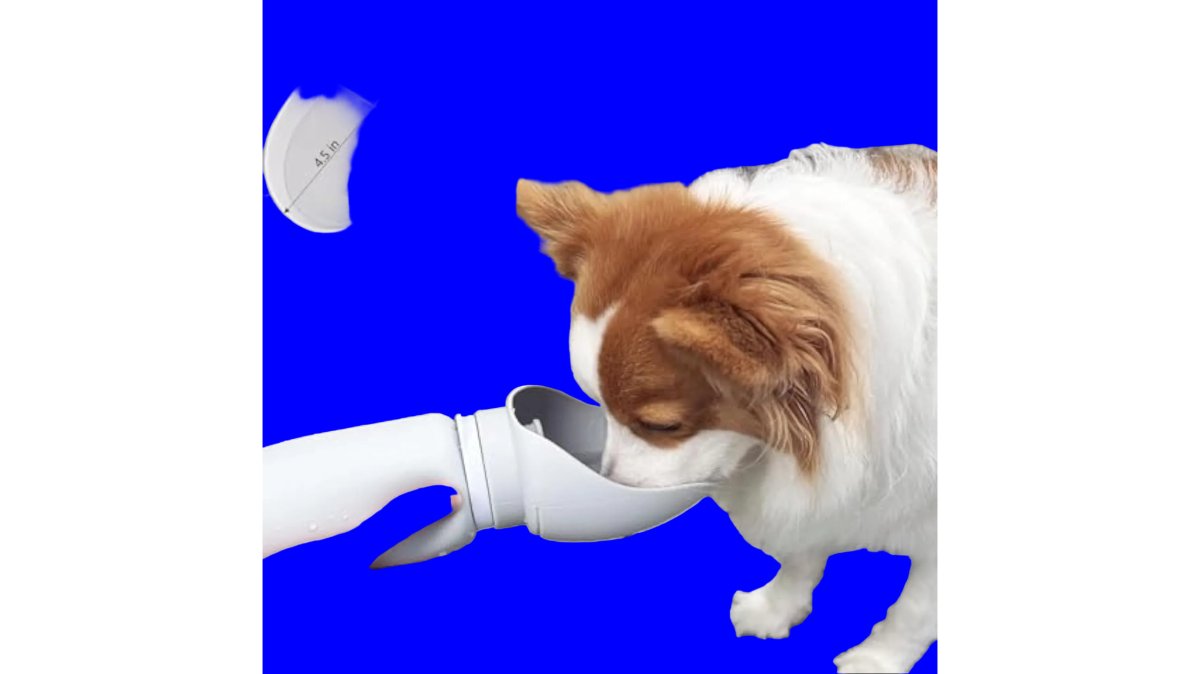Durable Outdoor Gear for Dogs: 2026 Buying Guide