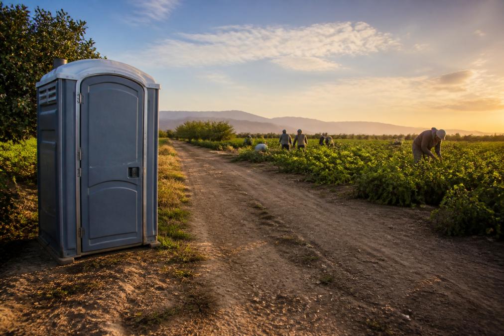 Portable sanitation unit placed by a farm field path as workers harvest crops in the golden afternoon light.