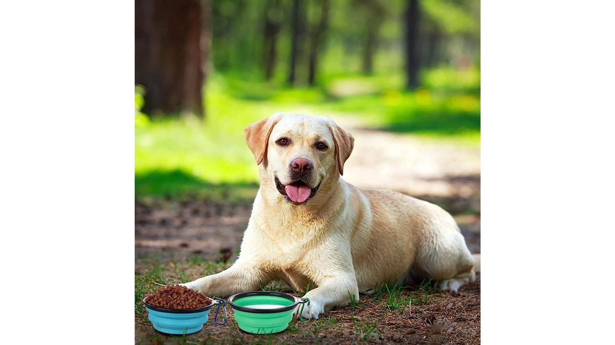 Portable Silicone Pet Bowl with Lid & Carabiner