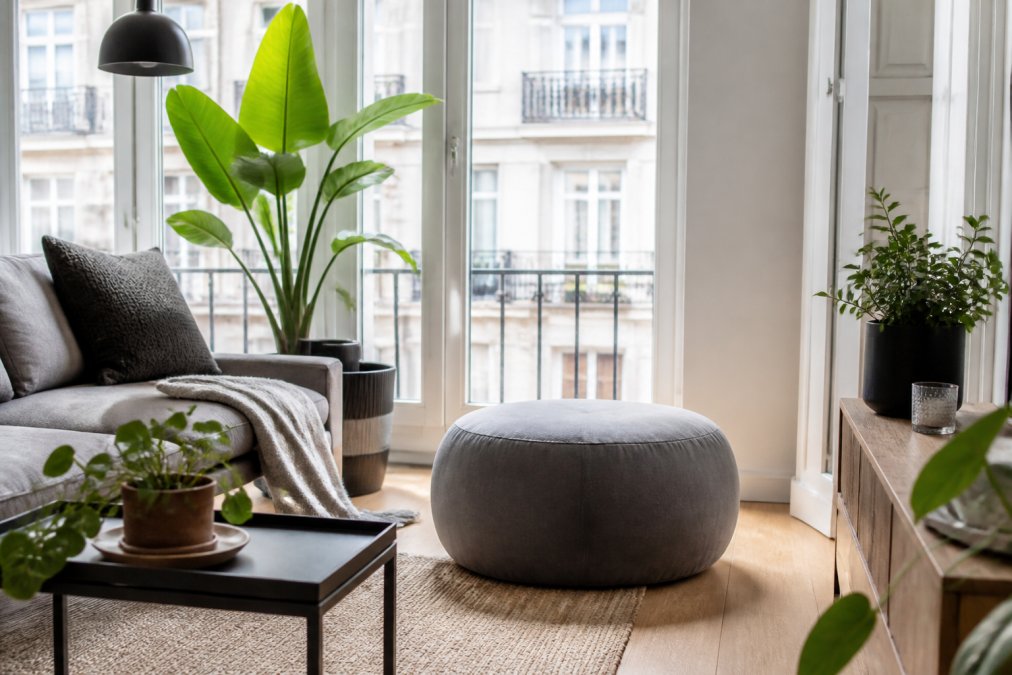 Pouf design dans un petit appartement urbain avec velours gris et plantes vertes près d'une fenêtre lumineuse et minimaliste.