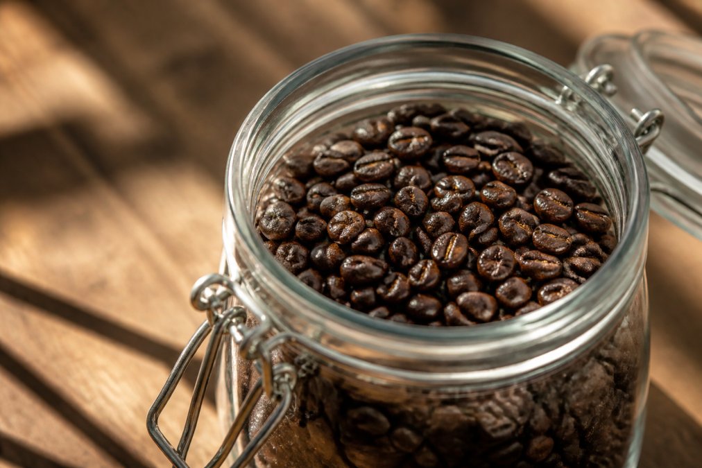 Close-up of freshly roasted coffee beans in a clear glass jar with rich brown color and detail visible in bright morning sunlight