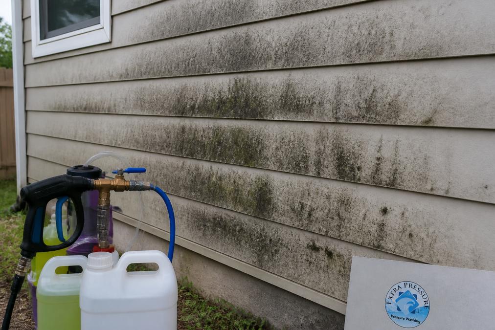 Close-up of residential siding showing visible black mold and mildew stains before cleaning, with soft-washing equipment and cleaning solution bottles visible in the foreground