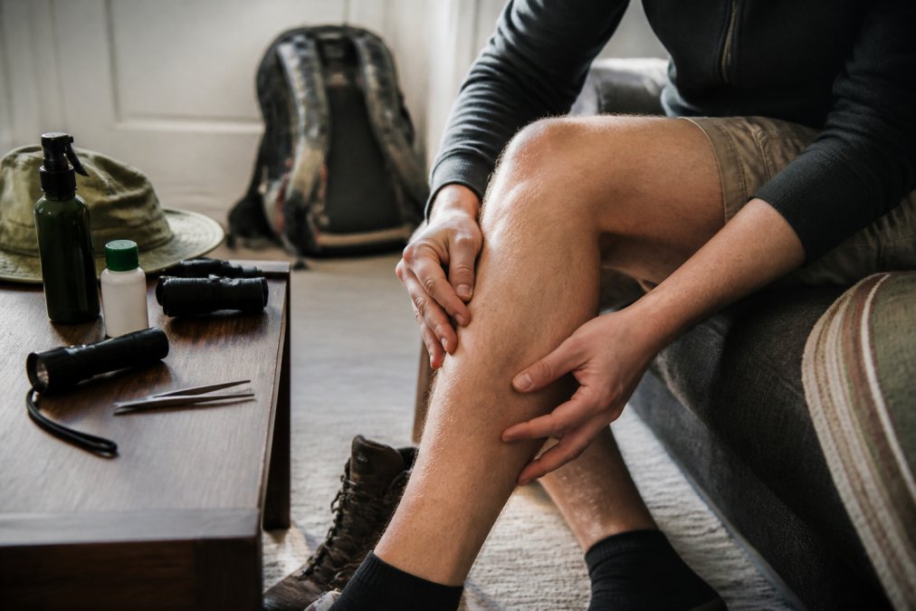 Close-up of a person carefully examining their leg for ticks, using their hands to check skin systematically in natural indoor lighting
