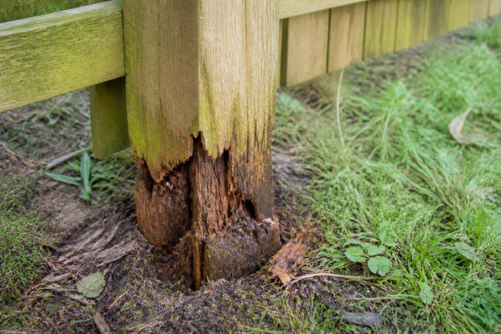Prevent Wooden Fence Post Rot at Ground: 2026 Guide