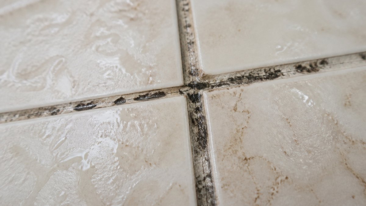 Infographic showing signs of wear like cracks and mold for preventative grout maintenance in bathrooms.