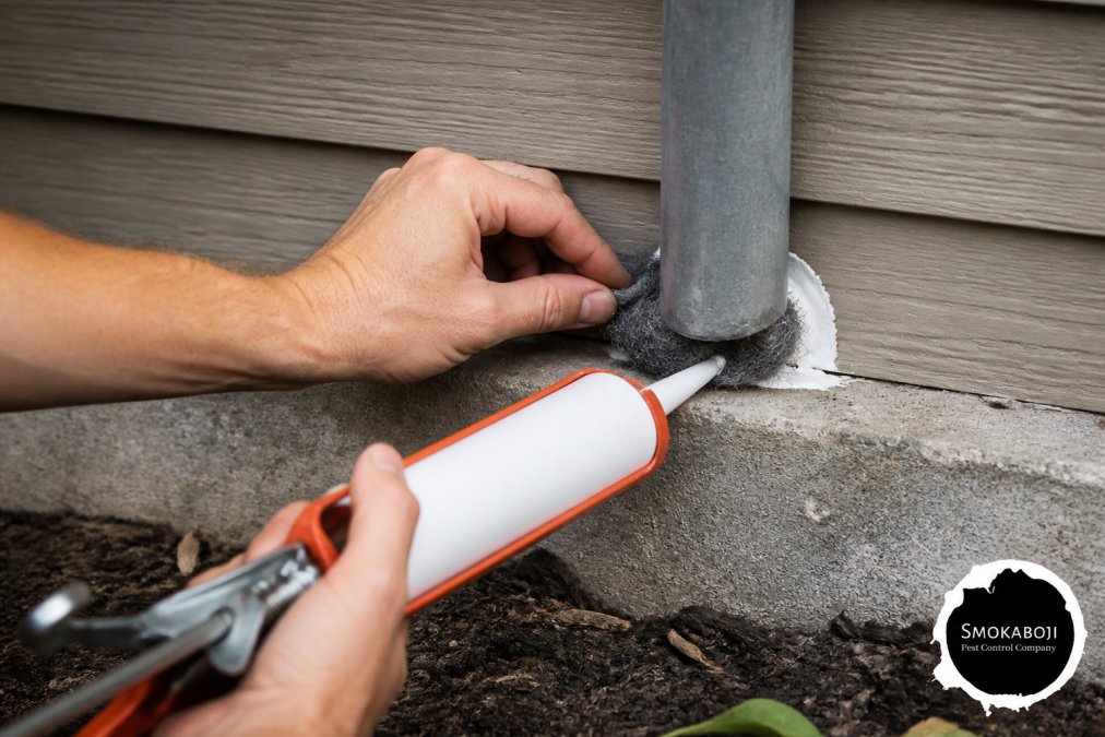 Hands applying steel wool and caulk around utility pipe entry point on home's exterior wall, demonstrating proper sealing technique