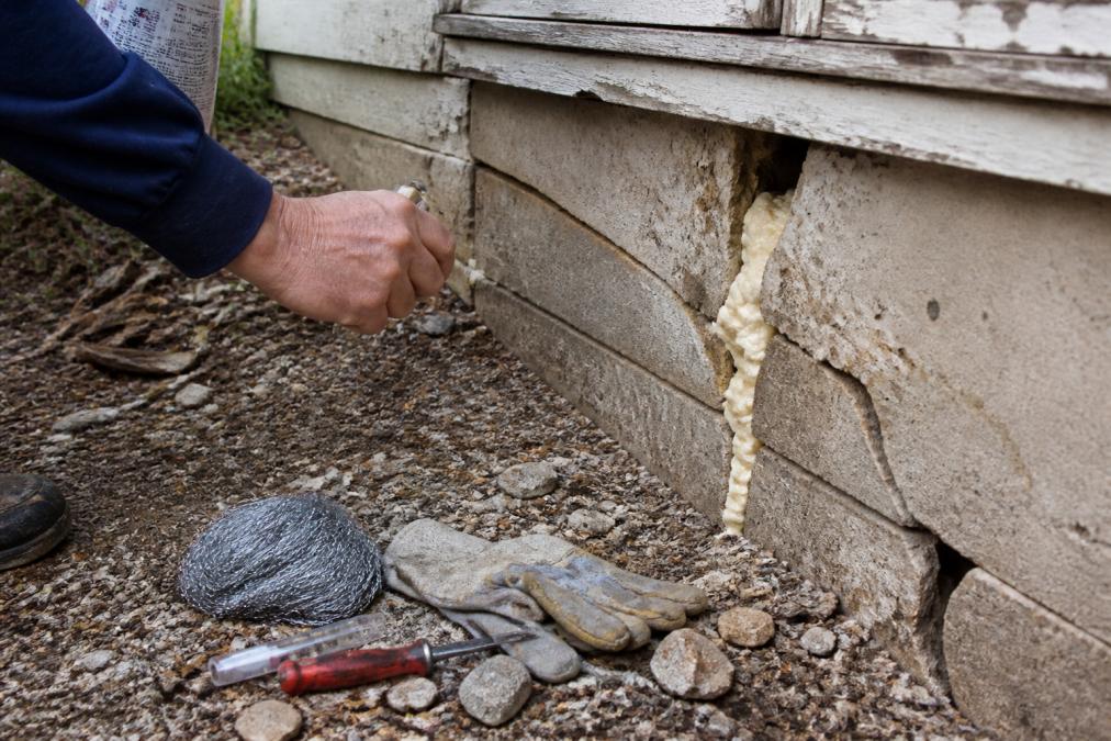 Close-up of a hand applying expanding foam sealant and steel wool into a large foundation crack in weathered farmhouse concrete, with tools and materials visible on the ground