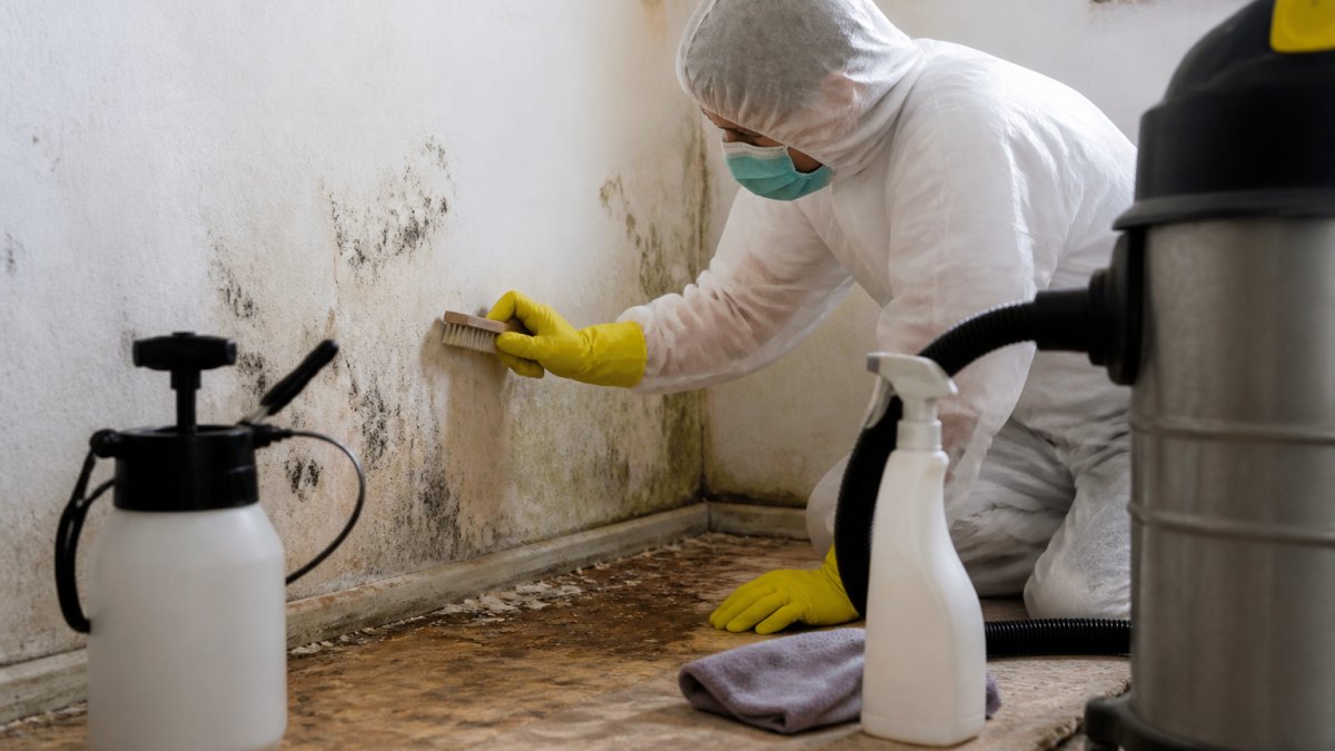 Preventing Mold Growth After Water Leaks