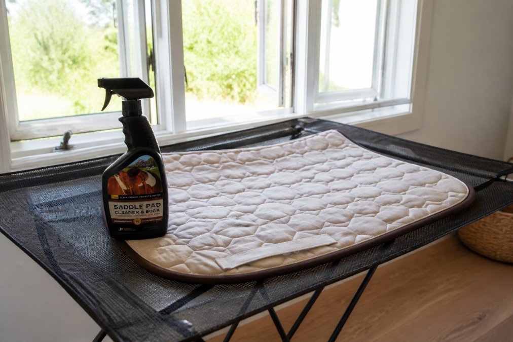 Saddle pad laid flat on a mesh drying rack in a bright, airy room with open windows, showing proper air-drying setup with natural ventilation