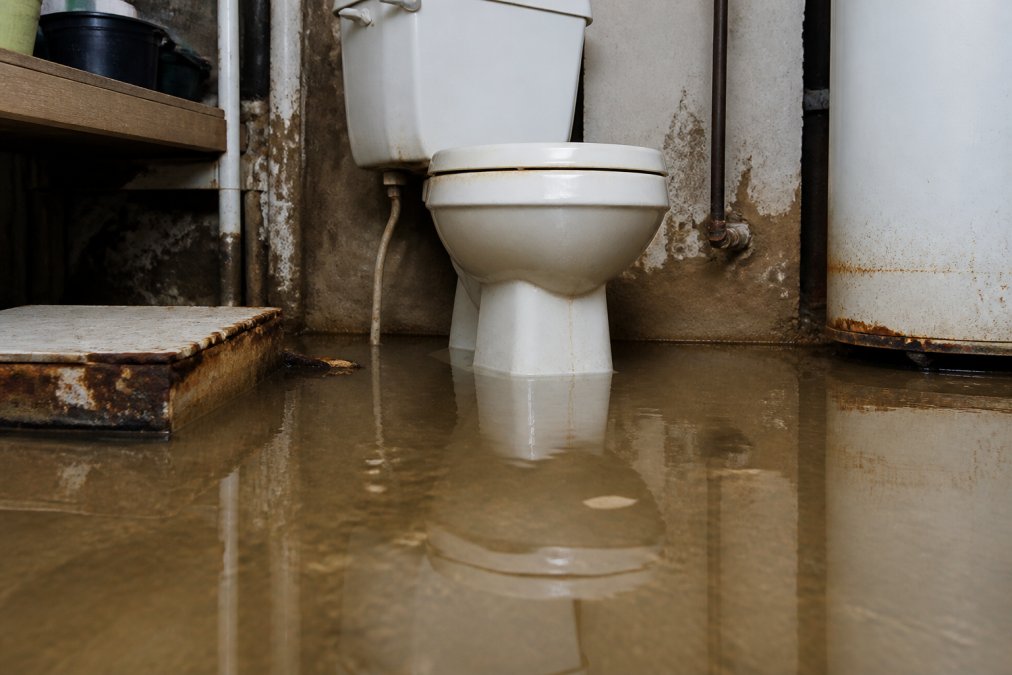 Preventing Sewage Backup in Basement: A Homeowner's Guide
