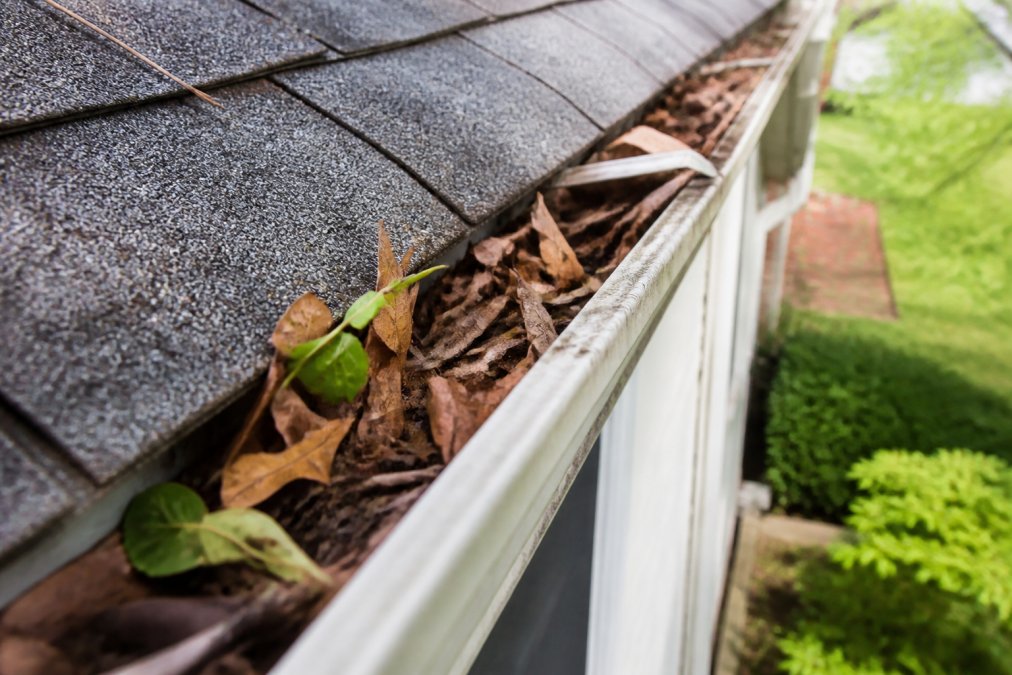 Preventing Water Damage from Clogged Gutters: A 2026 Guide