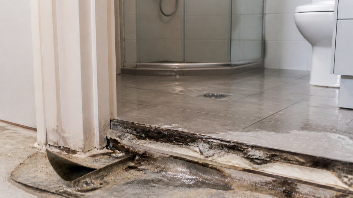 Preventing Waterproofing Failures in Apartment Renovations