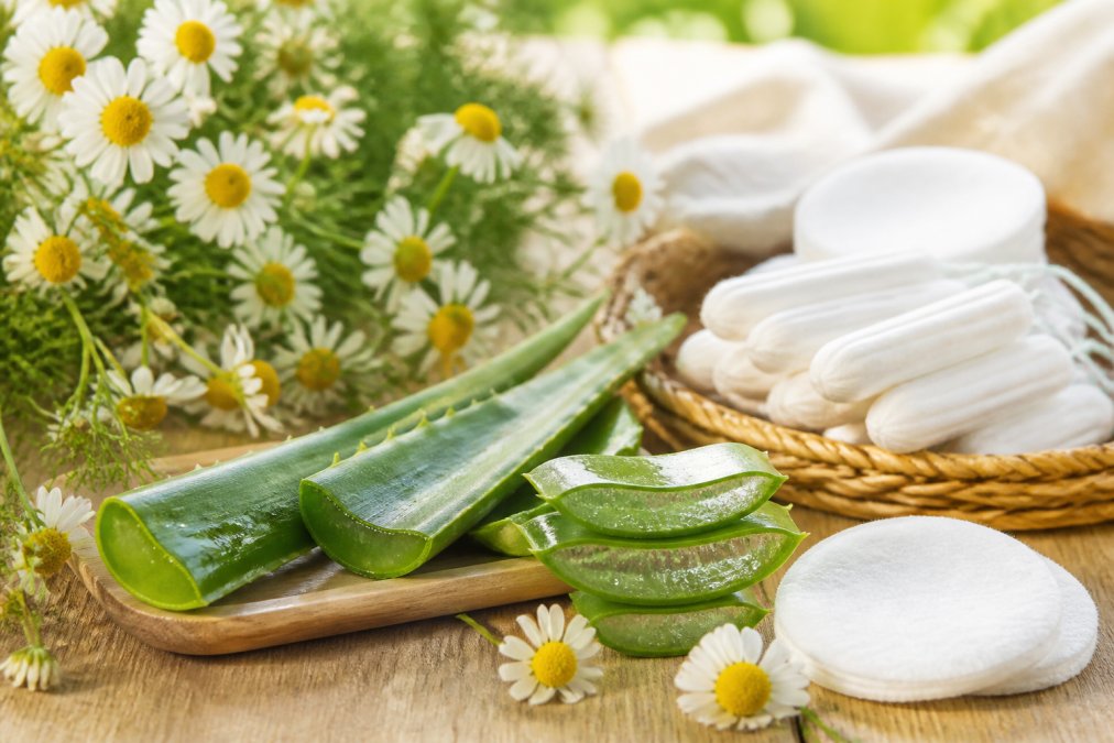 Heřmánek, aloe vera a bavlněné tampony jako přírodní alternativy ke kortikoidům na ekzém na dřevěném stole.