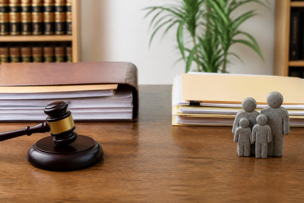 Private Lawyer vs Friend of the Court for Support