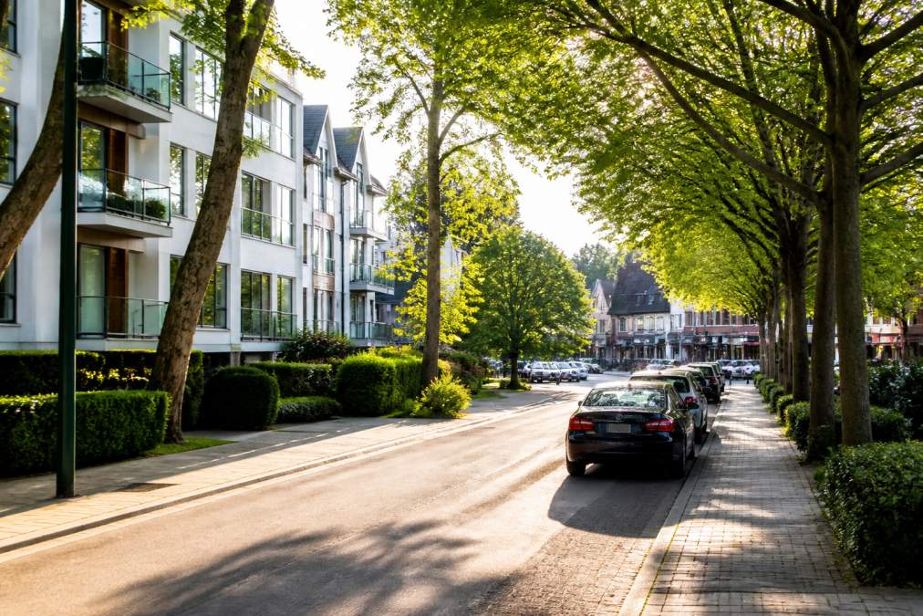 Rue résidentielle calme avec rangées d'appartements modernes, arbres matures bordant les trottoirs, petits commerces de proximité visibles en arrière-plan, lumière naturelle du matin