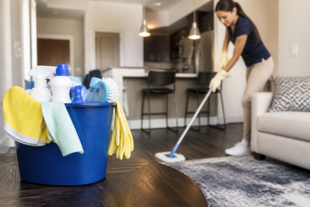 Professional Apartment Cleaning Services Denver Guide