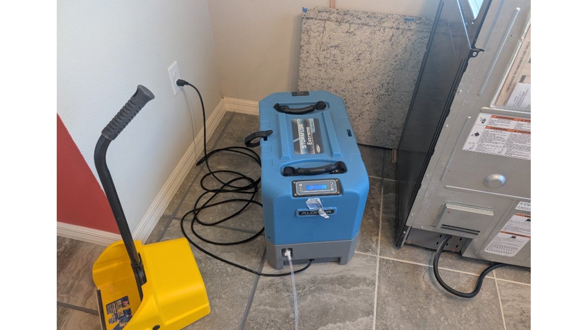 Mold Remediation in Palm Bay: What You Need to Know