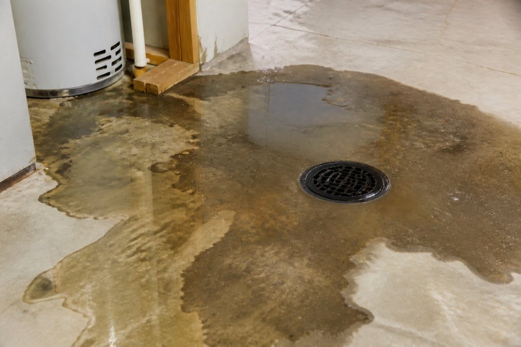 Close-up of a basement floor with water pooling near a floor drain, showing signs of sewer backup damage with water staining visible on concrete