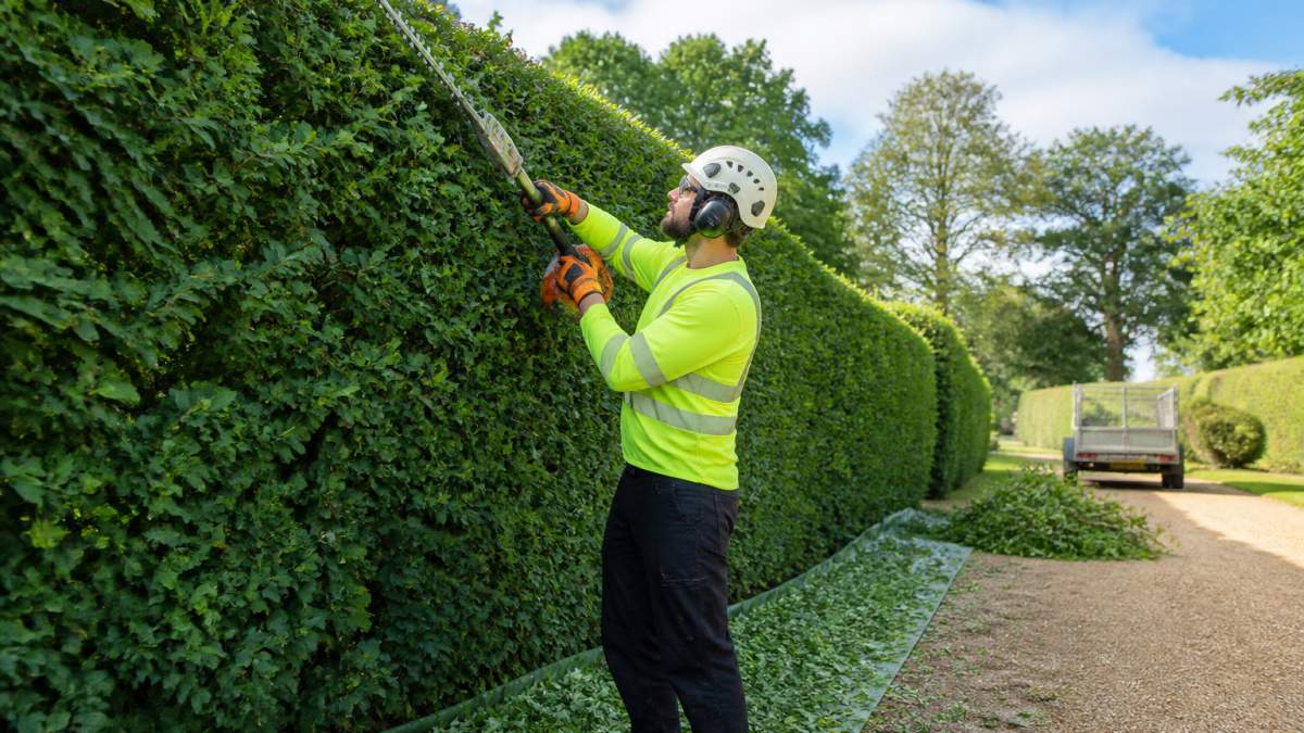 Professional arborist in high-visibility safety gear and hard hat using a powered hedge trimmer on a tall formal hedge, with neatly stacked cut material and a clean work site visible in the background