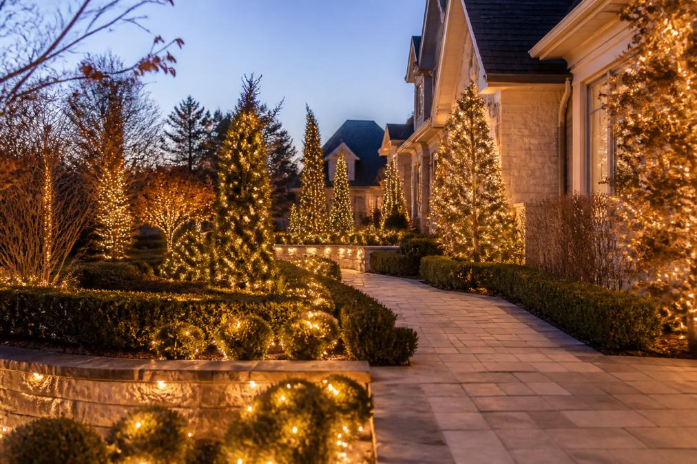 Professional Landscape Design White Plains NY | 2026 Guide