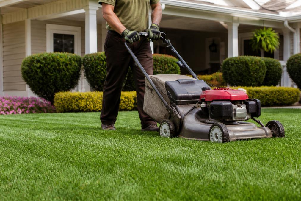 Professional Lawn Mowing Service Near Me: 2026 Cost Guide