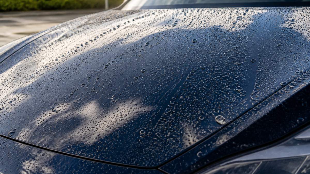 Close-up of luxury vehicle's hood showing glossy protected paintwork with water beading on the surface, highlighting the hydrophobic effect of professional paint protection