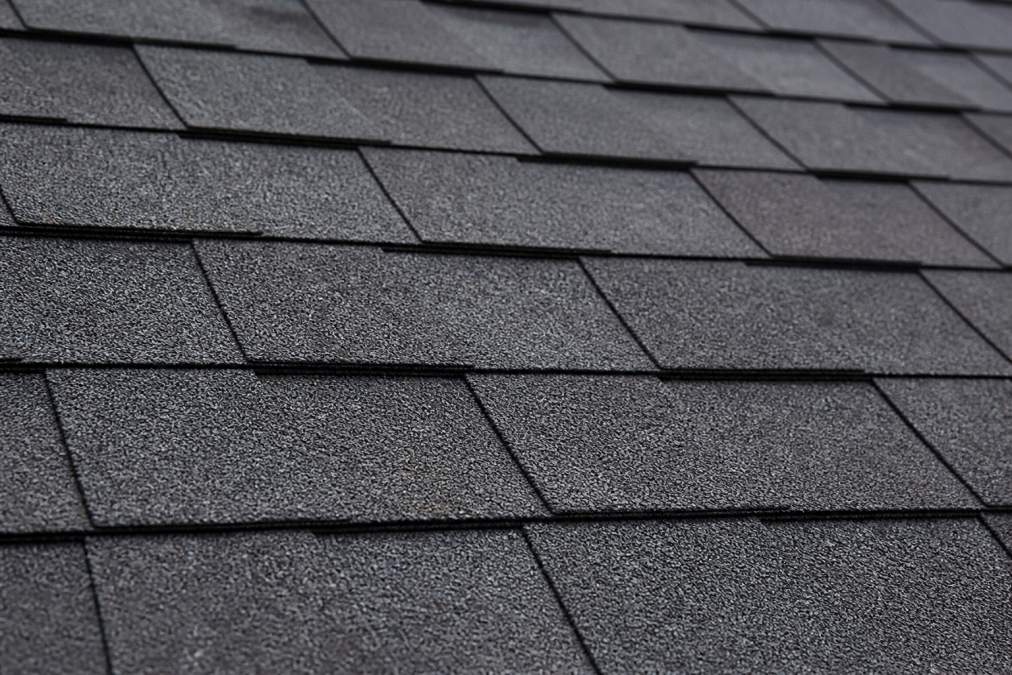 Close-up of an asphalt shingle roof with intact, uniform granules after a gentle soft wash, no missing granules or damage, soft daylight