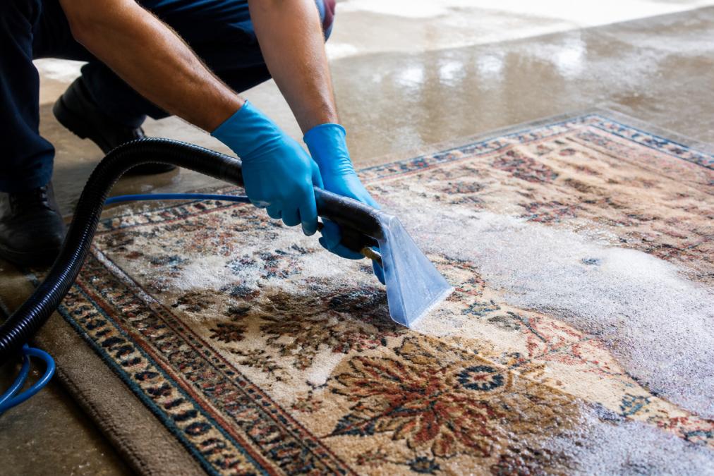 Professional Rug Cleaning Macon GA: 2026 Guide