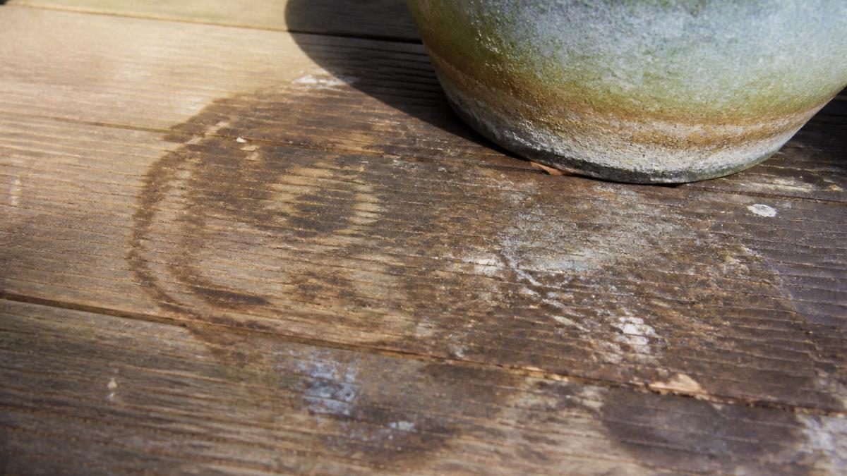 Close-up of dark water stains and mineral deposits on weathered wooden deck beneath a ceramic planter, showing wet ring marks and moisture damage on the wood surface in afternoon sunlight