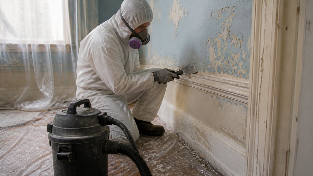 Protecting Children From Lead Paint Exposure