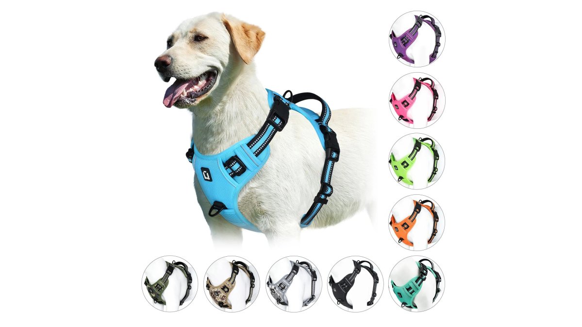 Proud Pet Shop No-Pull Adventure Harness