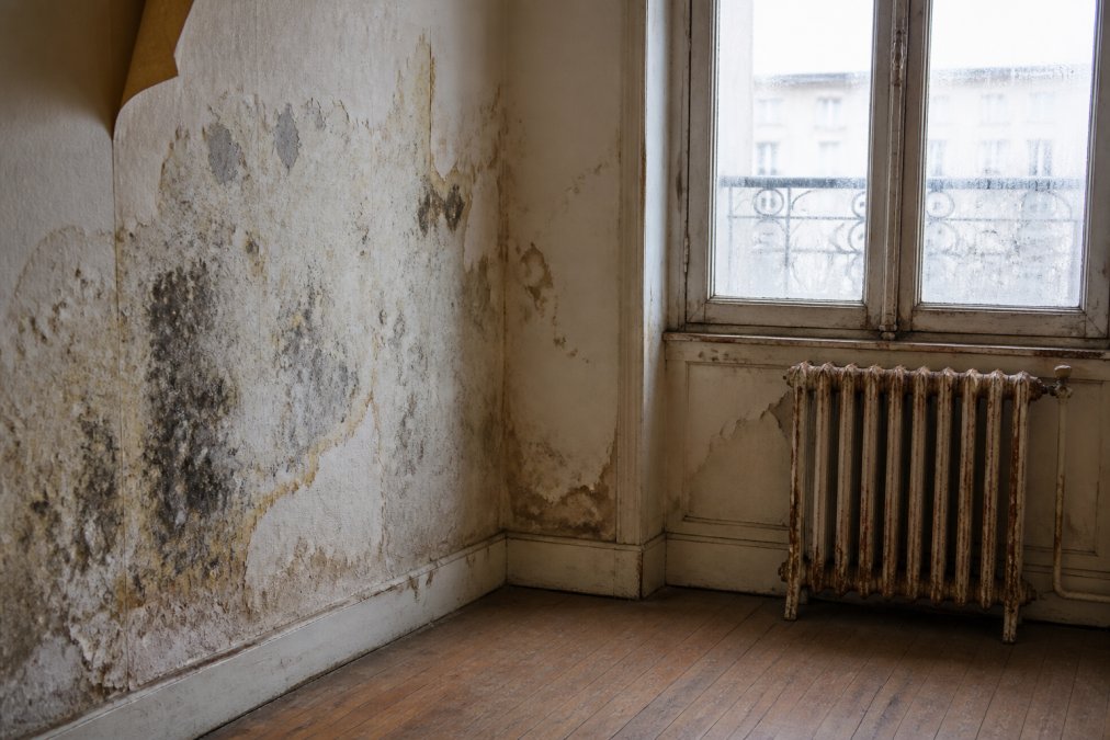 Intérieur d'un ancien appartement avec fenêtres simple vitrage, radiateur rouillé montrant des traces de corrosion, murs présentant des taches d'humidité visibles, isolation thermique défaillante apparente, lumière naturelle faible filtrant par des vitres mal isolées
